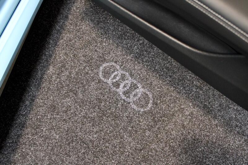 AUDI TTS